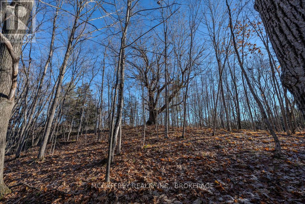 Lot 5 Hinterland Lane Property Photo 31