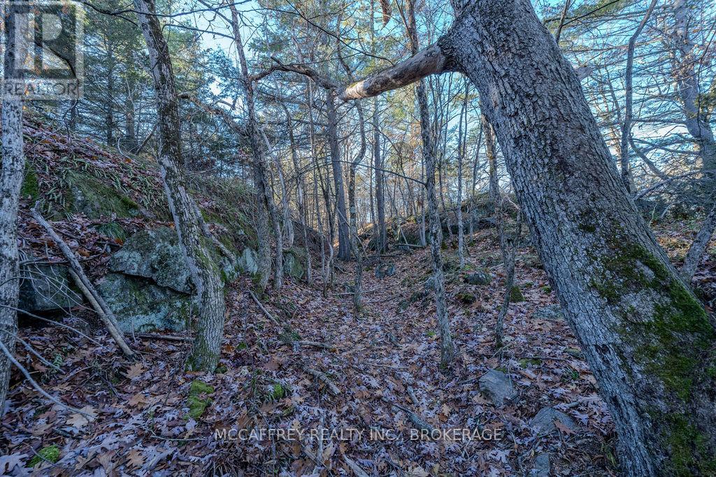 Lot 5 Hinterland Lane Property Photo 33