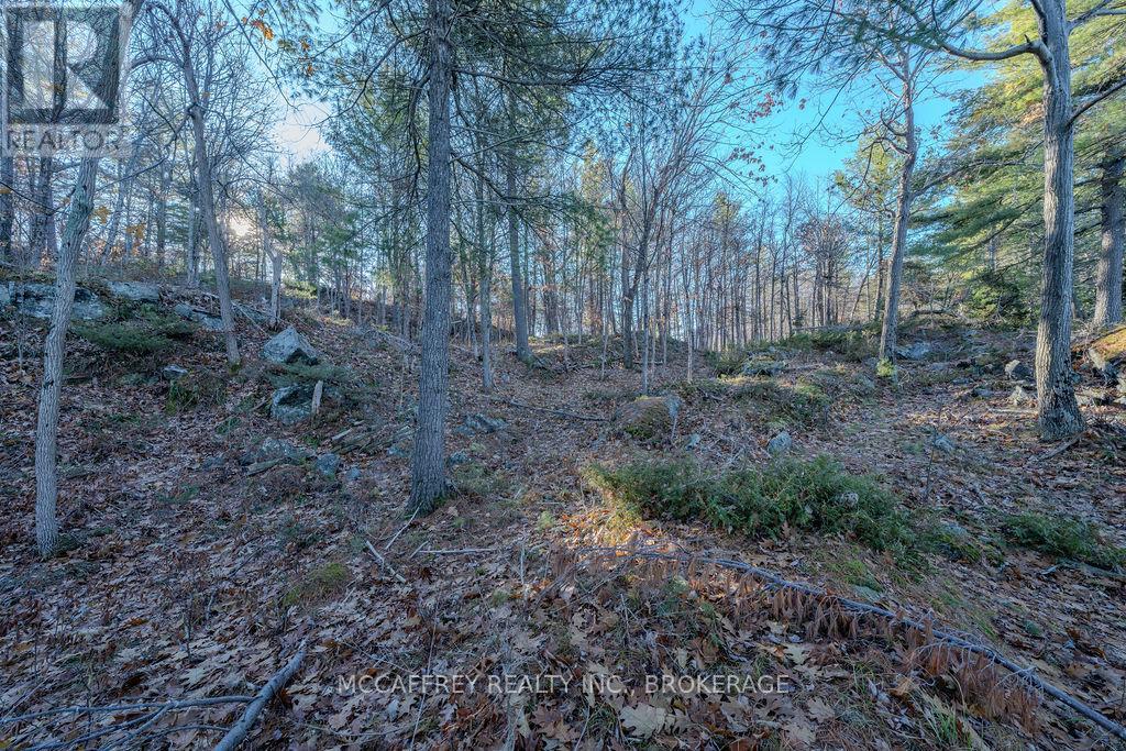 Lot 5 Hinterland Lane Property Photo 45