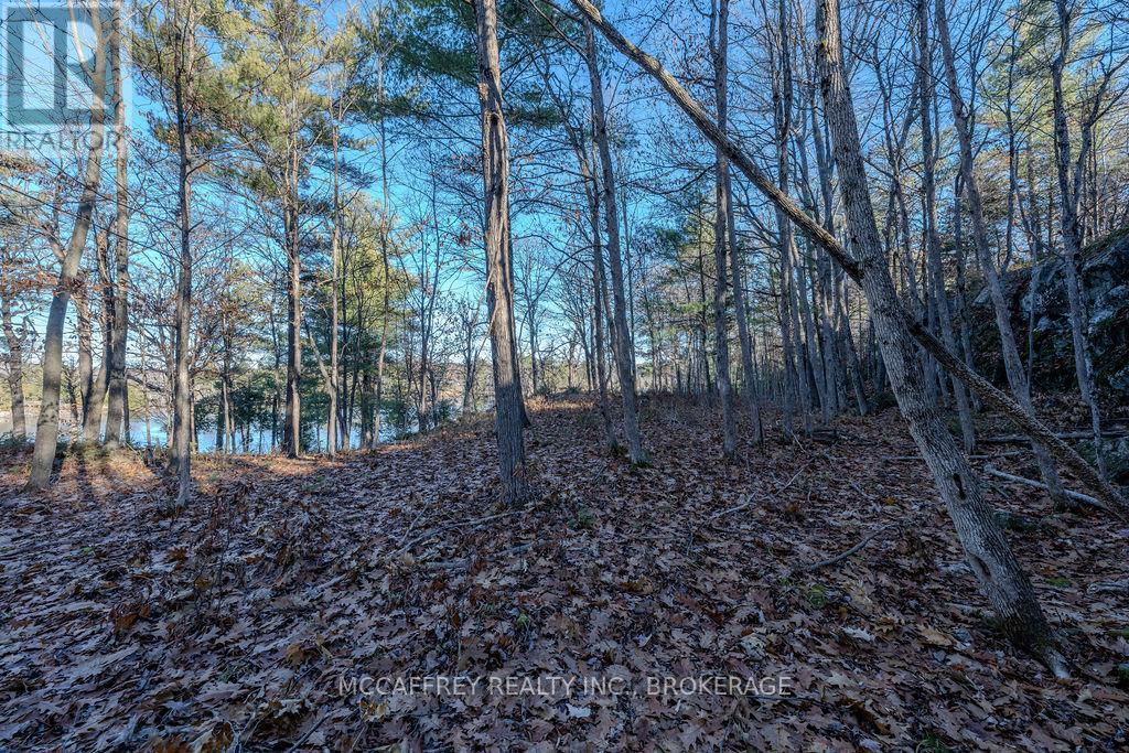 Lot 5 Hinterland Lane Property Photo 47