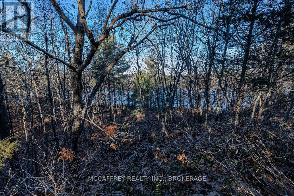Lot 5 Hinterland Lane Property Photo 48