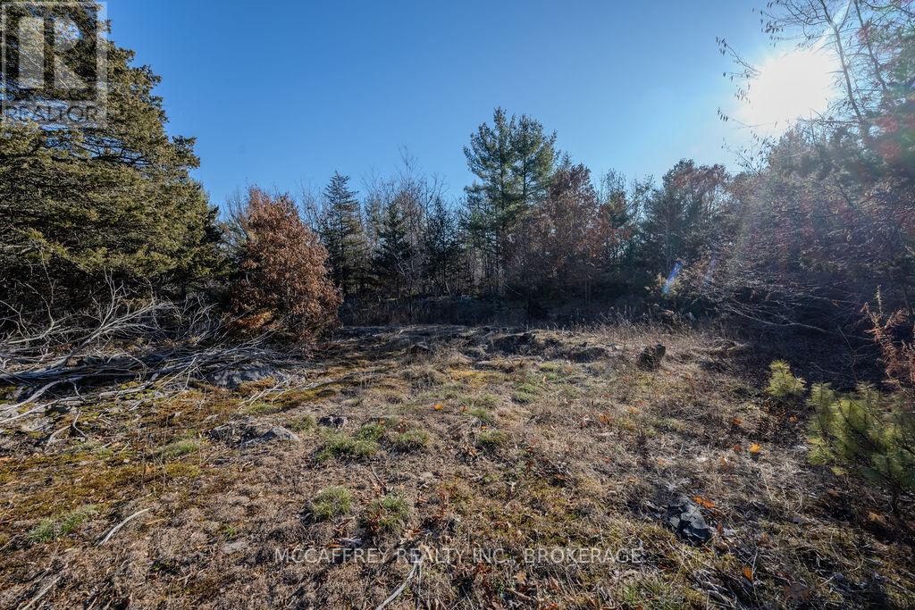 Lot 5 Hinterland Lane Property Photo 49