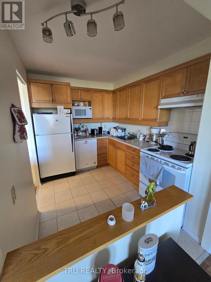507 - 915 Elmsmere Road Property Photo 13