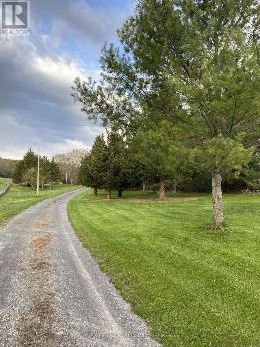 180 Napanee Road Property Photo 34