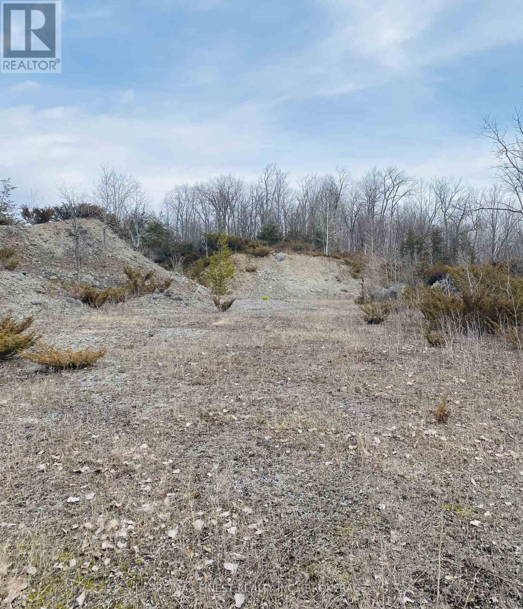 180 Napanee Road Property Photo 46