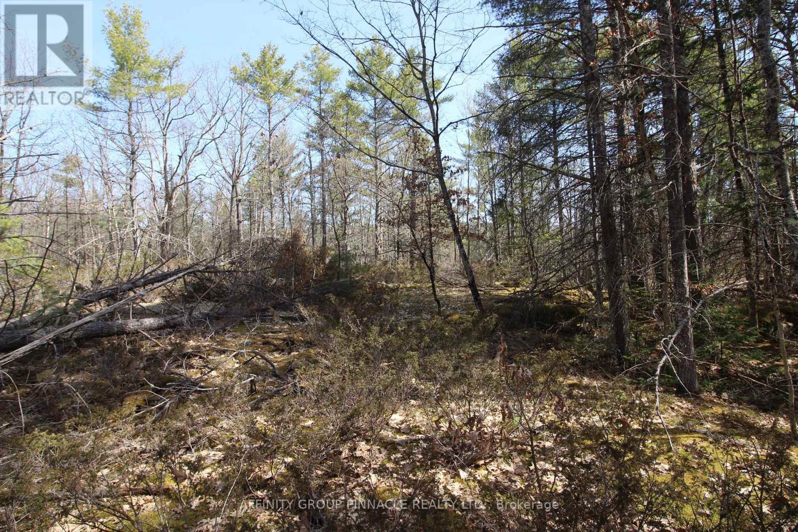 Lot 15 Concession 9 Property Photo 3