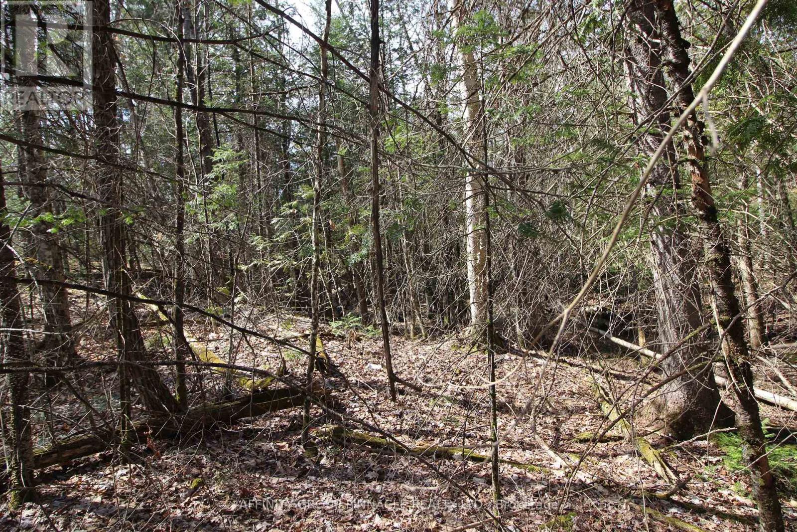 Lot 15 Concession 9 Property Photo 4