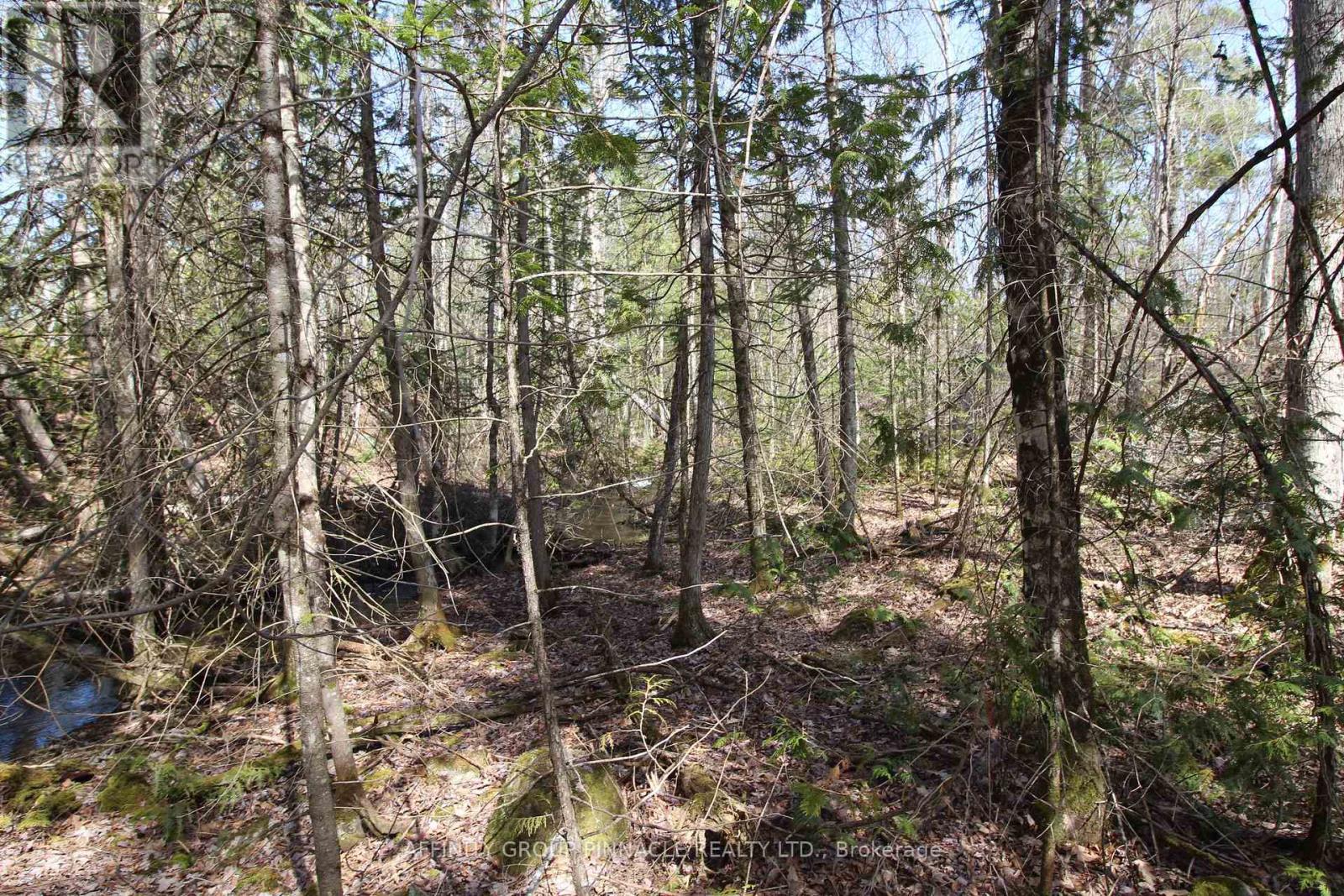 Lot 15 Concession 9 Property Photo 5
