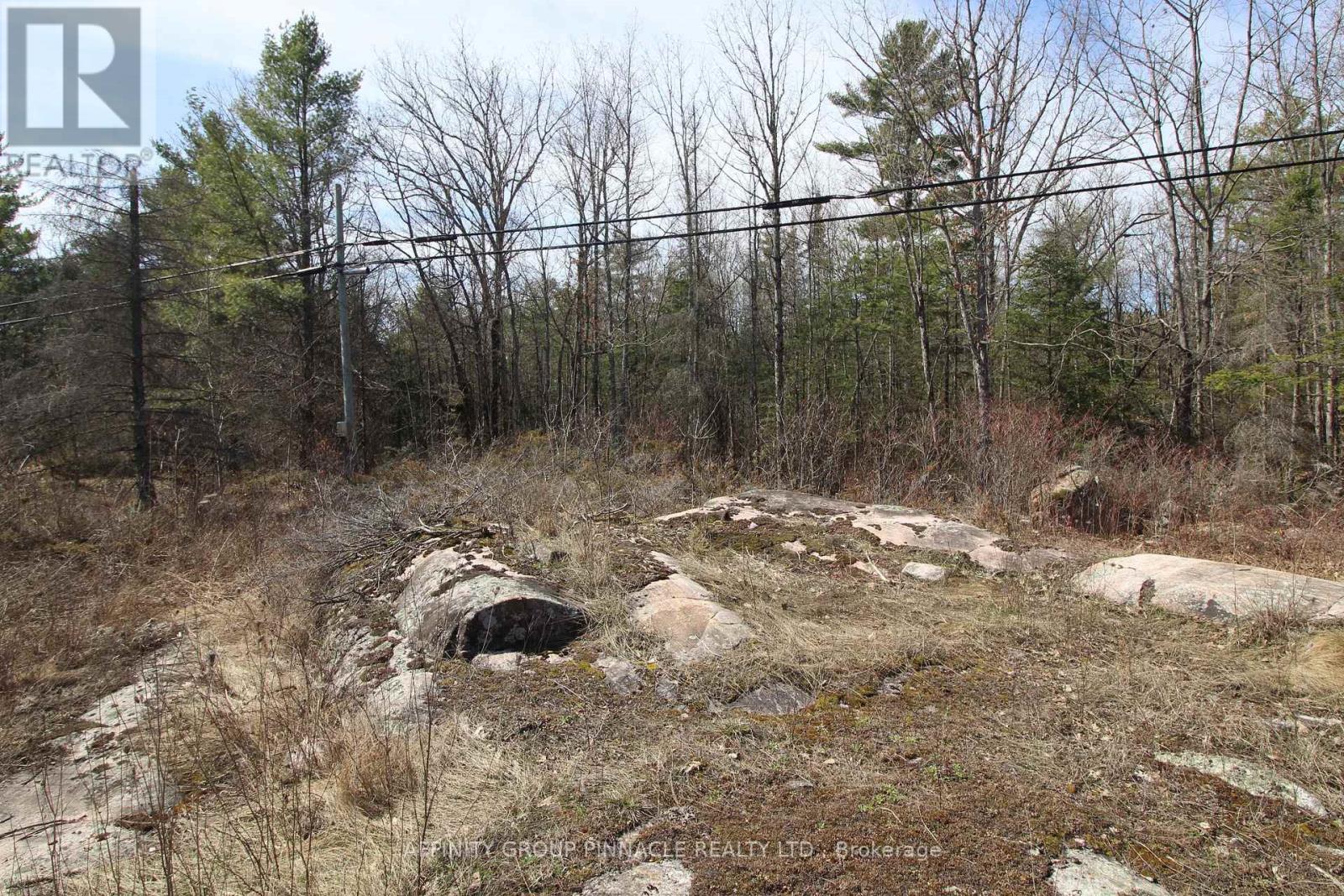 Lot 15 Concession 9 Property Photo 6