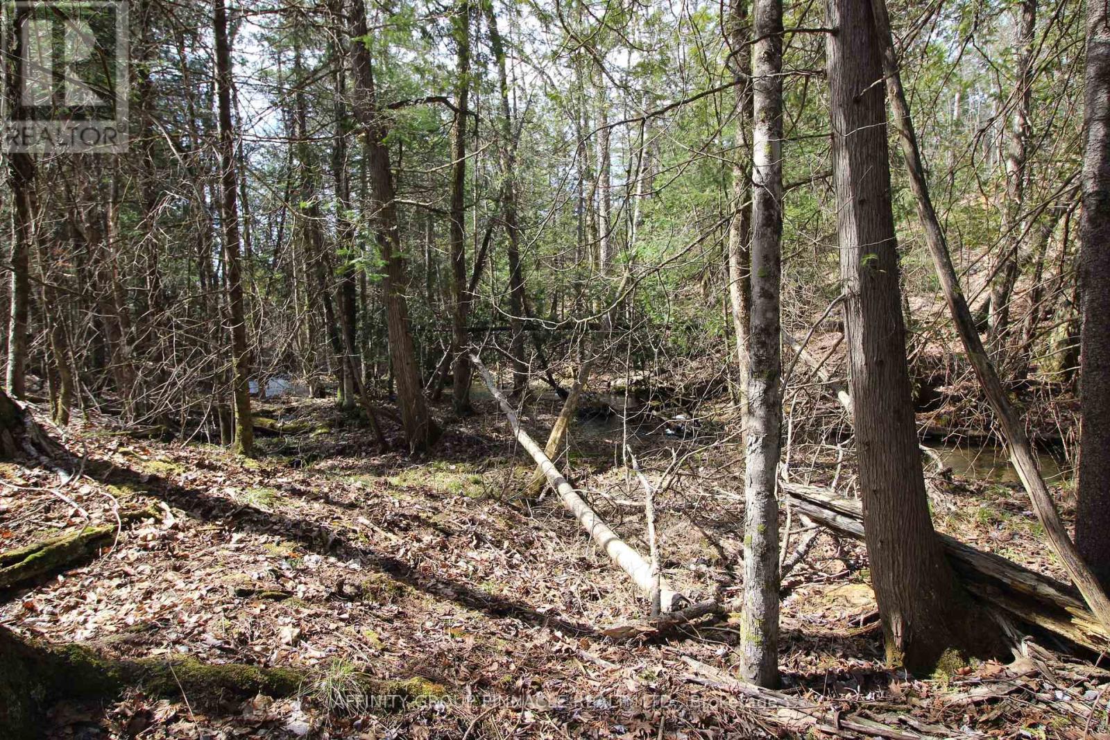 Lot 15 Concession 9 Property Photo 8