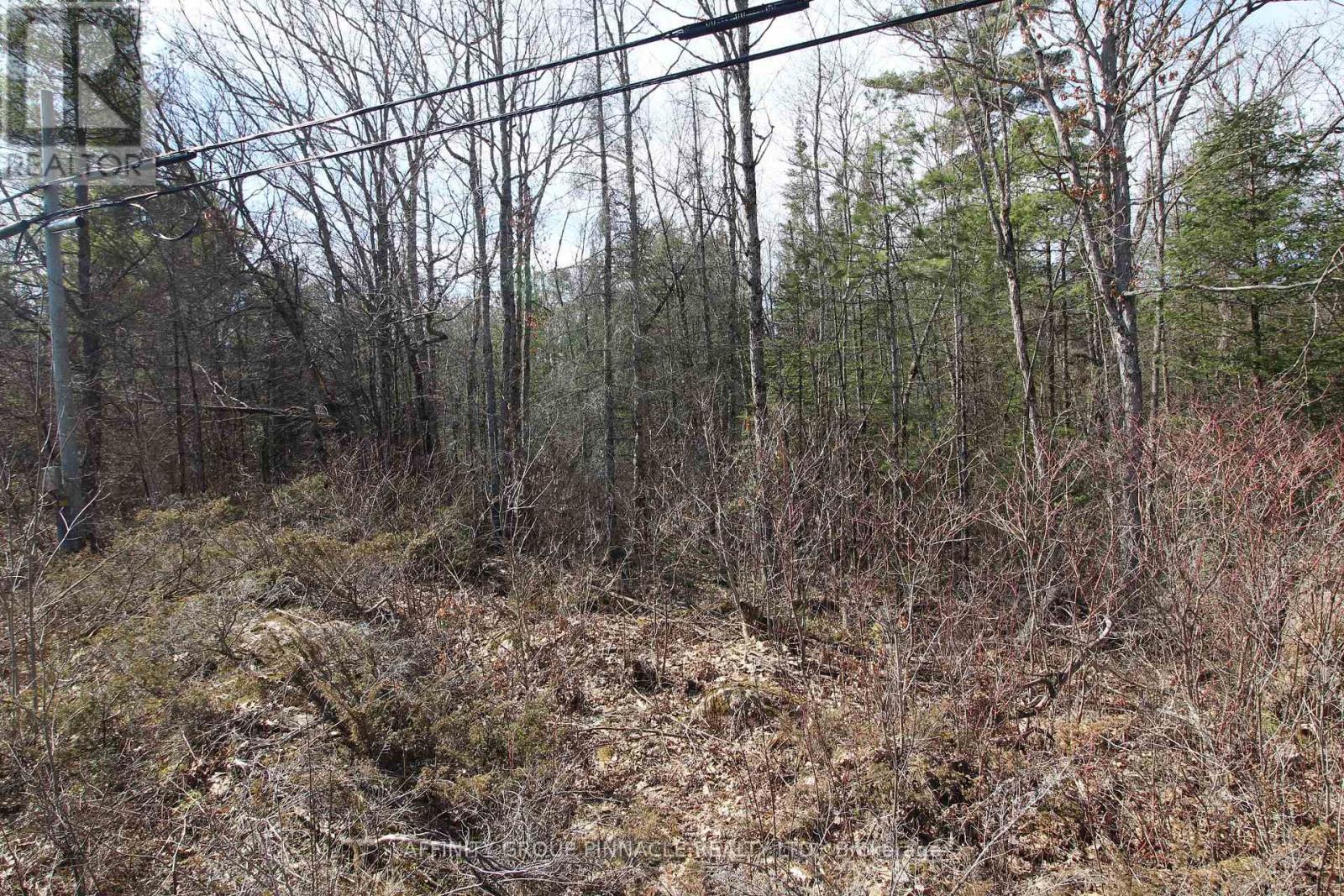 Lot 15 Concession 9 Property Photo 10