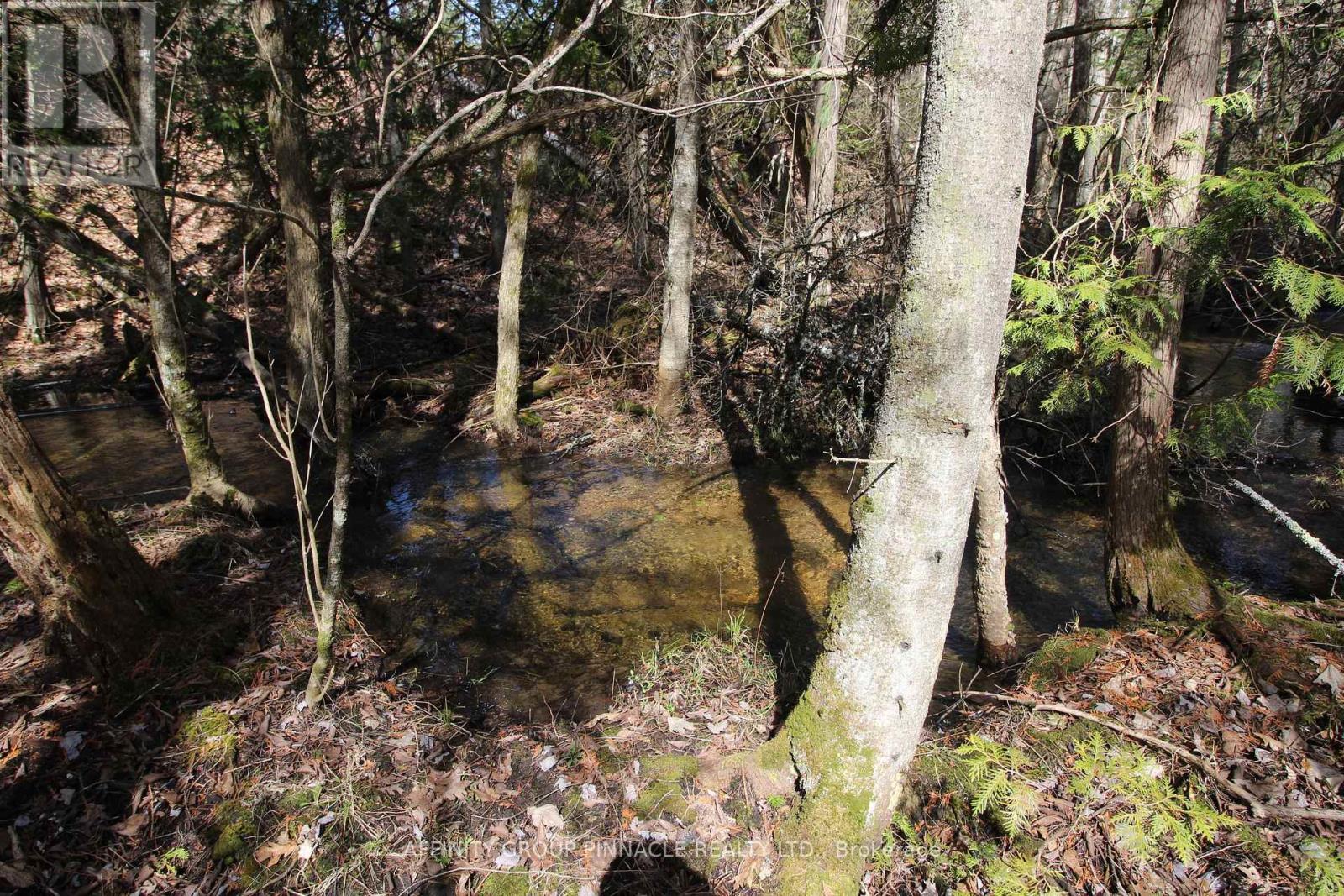 Lot 15 Concession 9 Property Photo 11