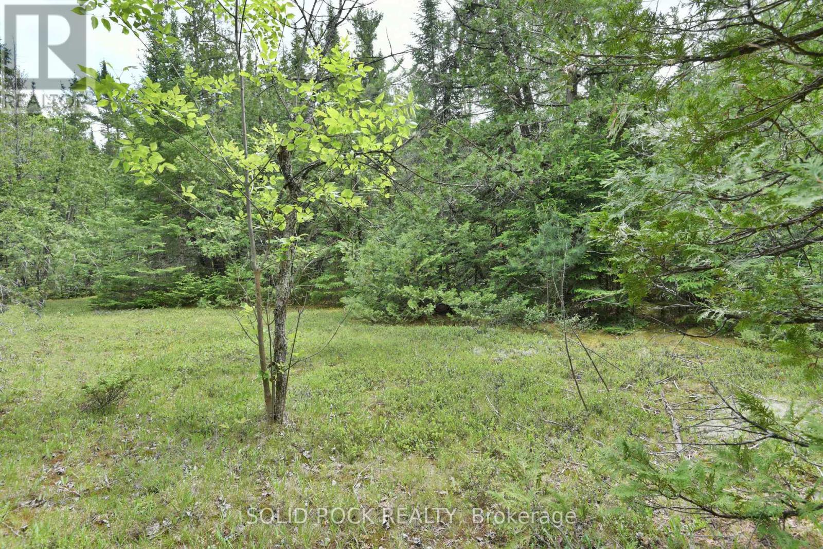 0 Mast Road Property Photo 11