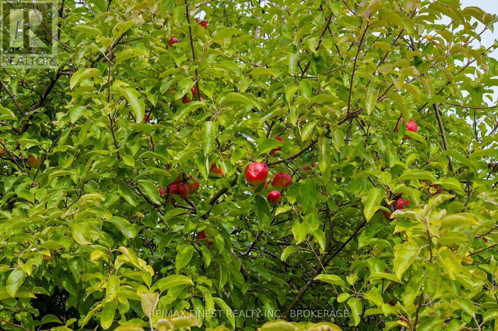 1600 Front Road Property Photo 34