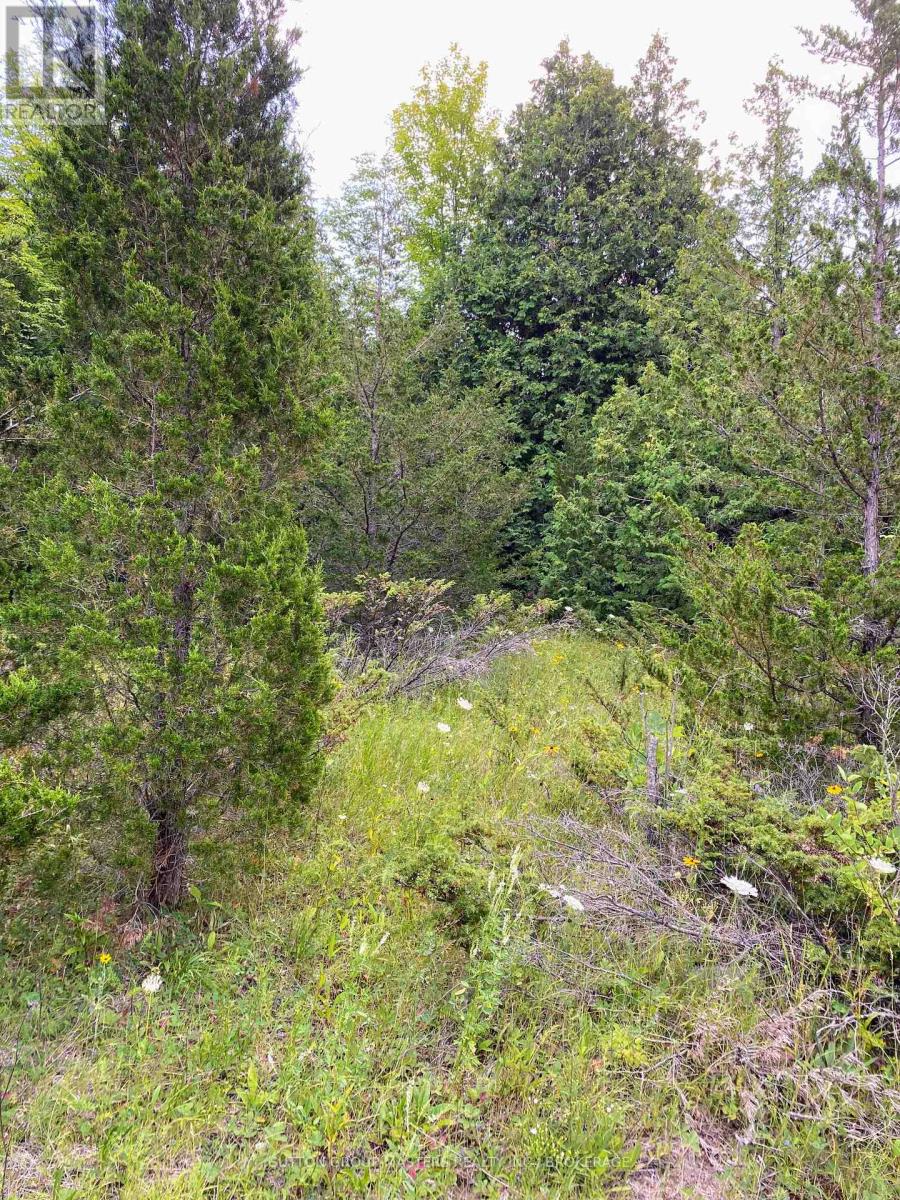 0 Colebrook Road Property Photo 5