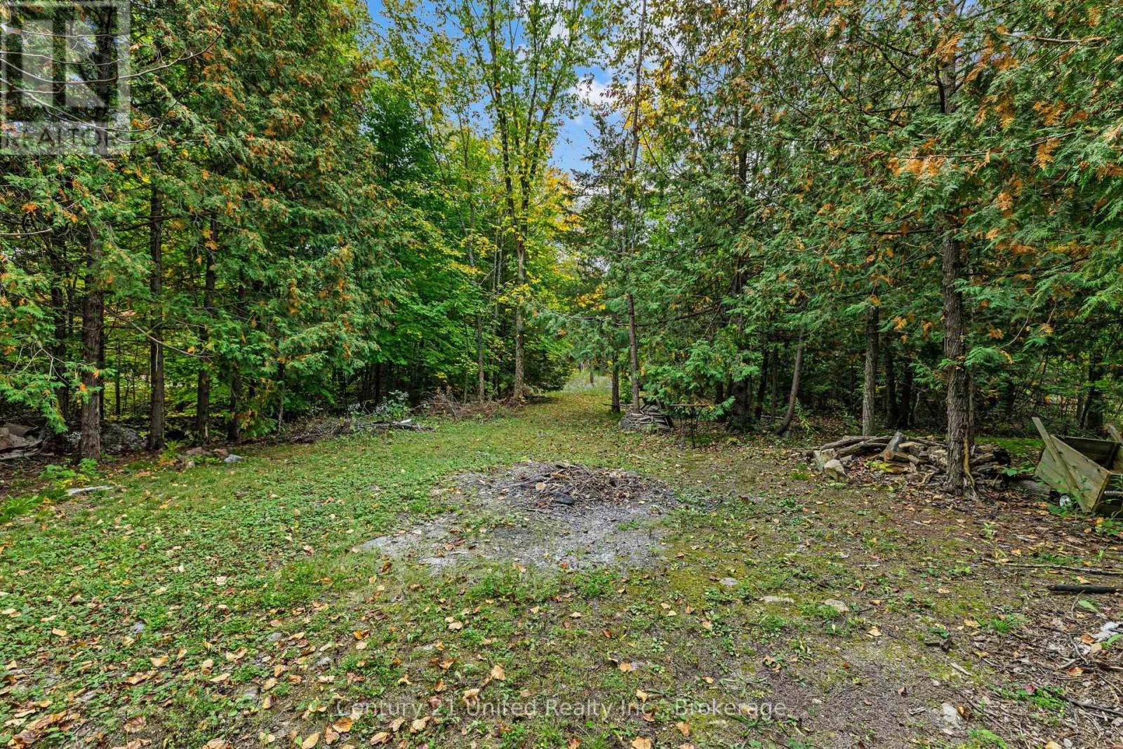 1249 Birchview Road Property Photo 37