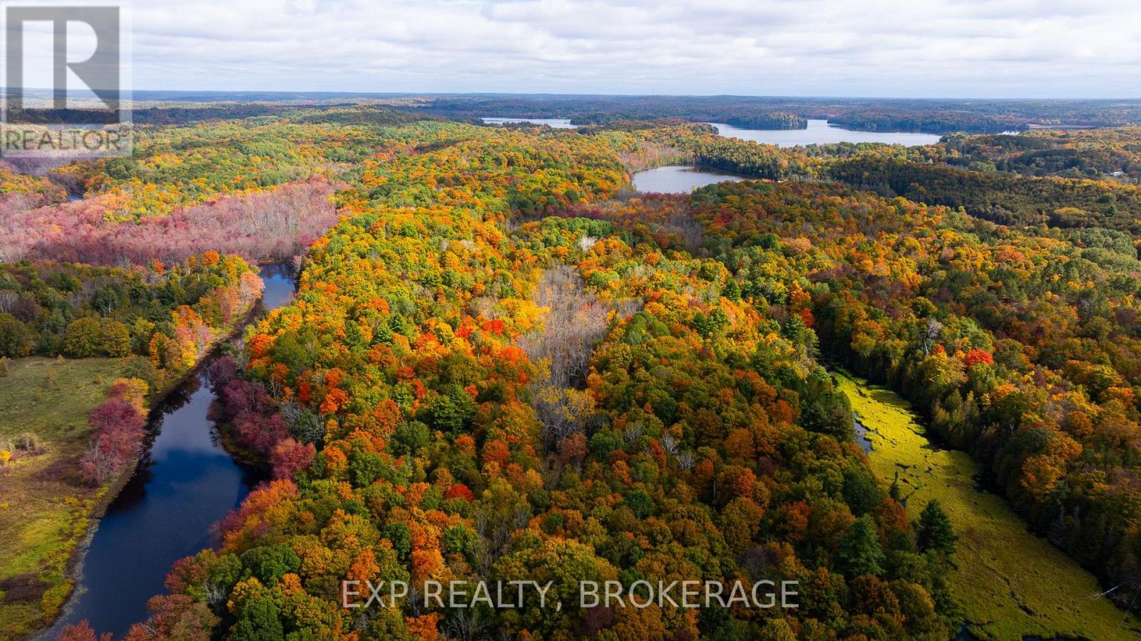 1256 Elm Tree Road Property Photo 18