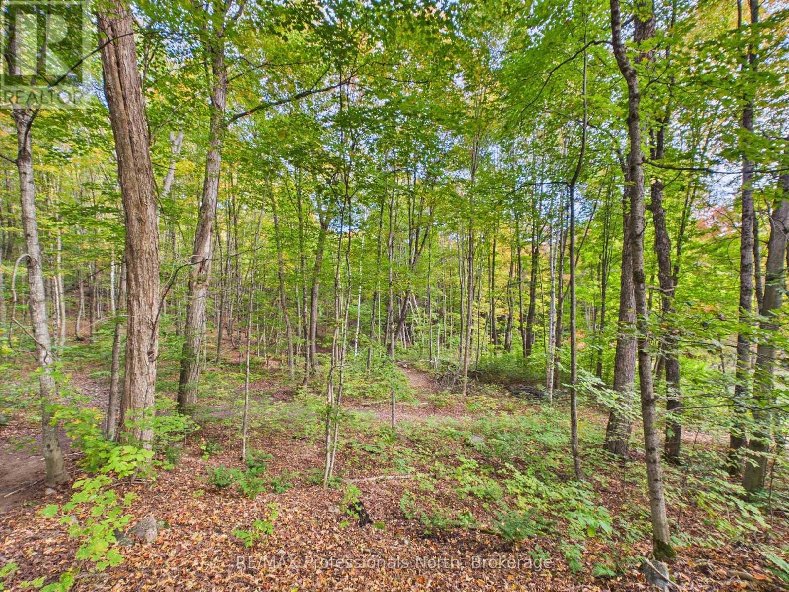 4226 Aspdin Road Property Photo 38