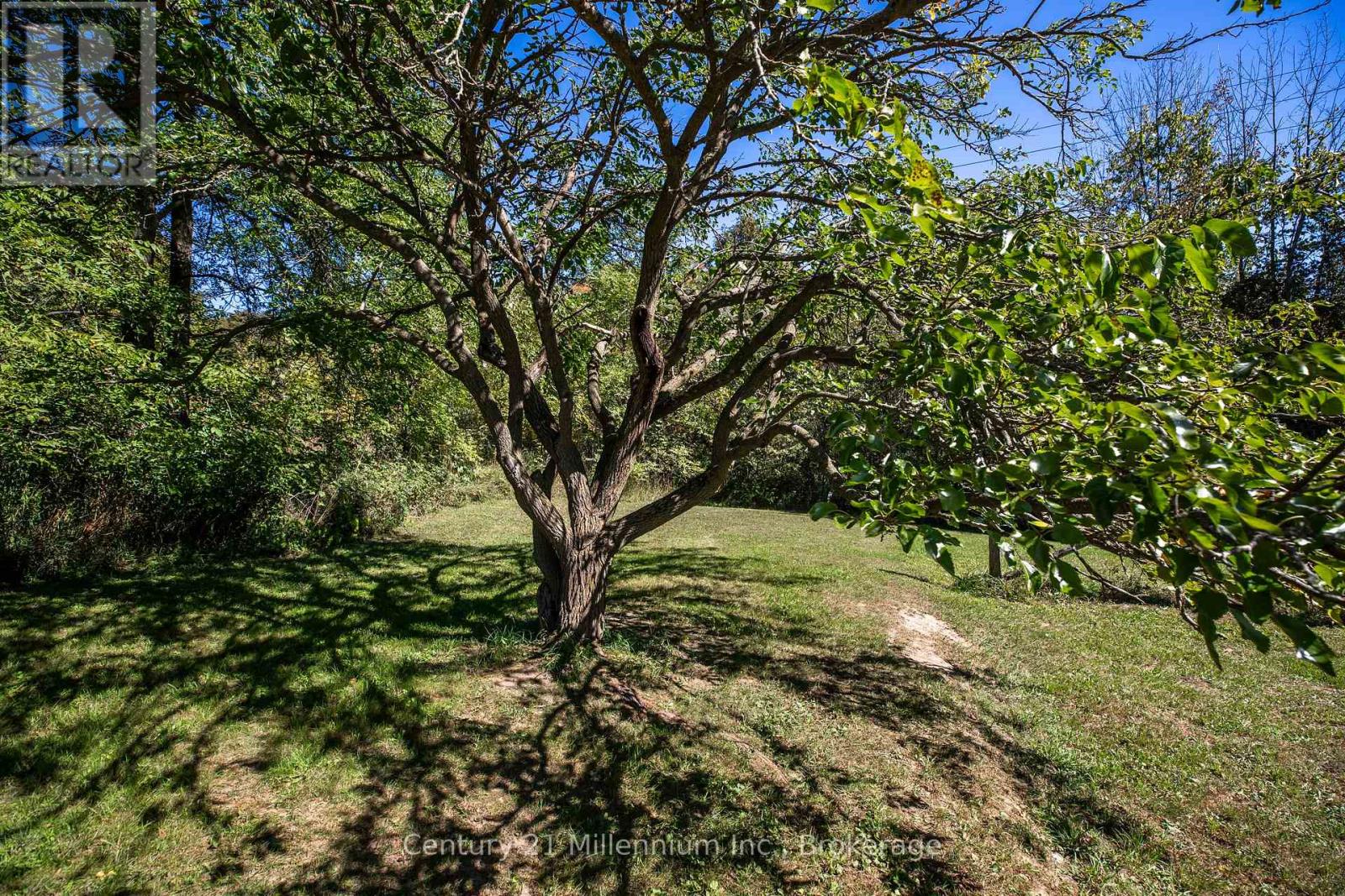 395 Elsinore Road N Property Photo 23