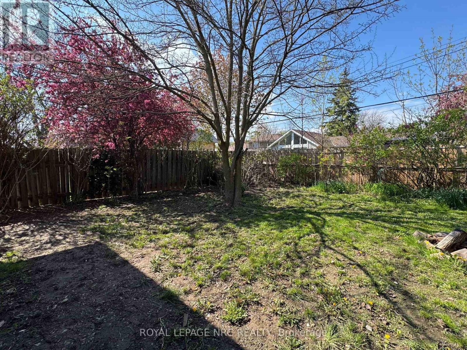 11 Richard Street Property Photo 24