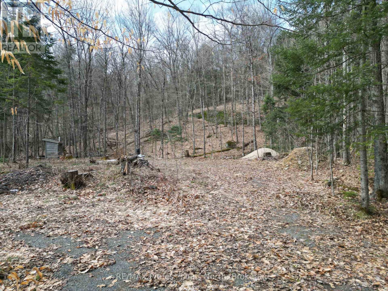 1231 Big Hawk Lake Road Property Photo 5