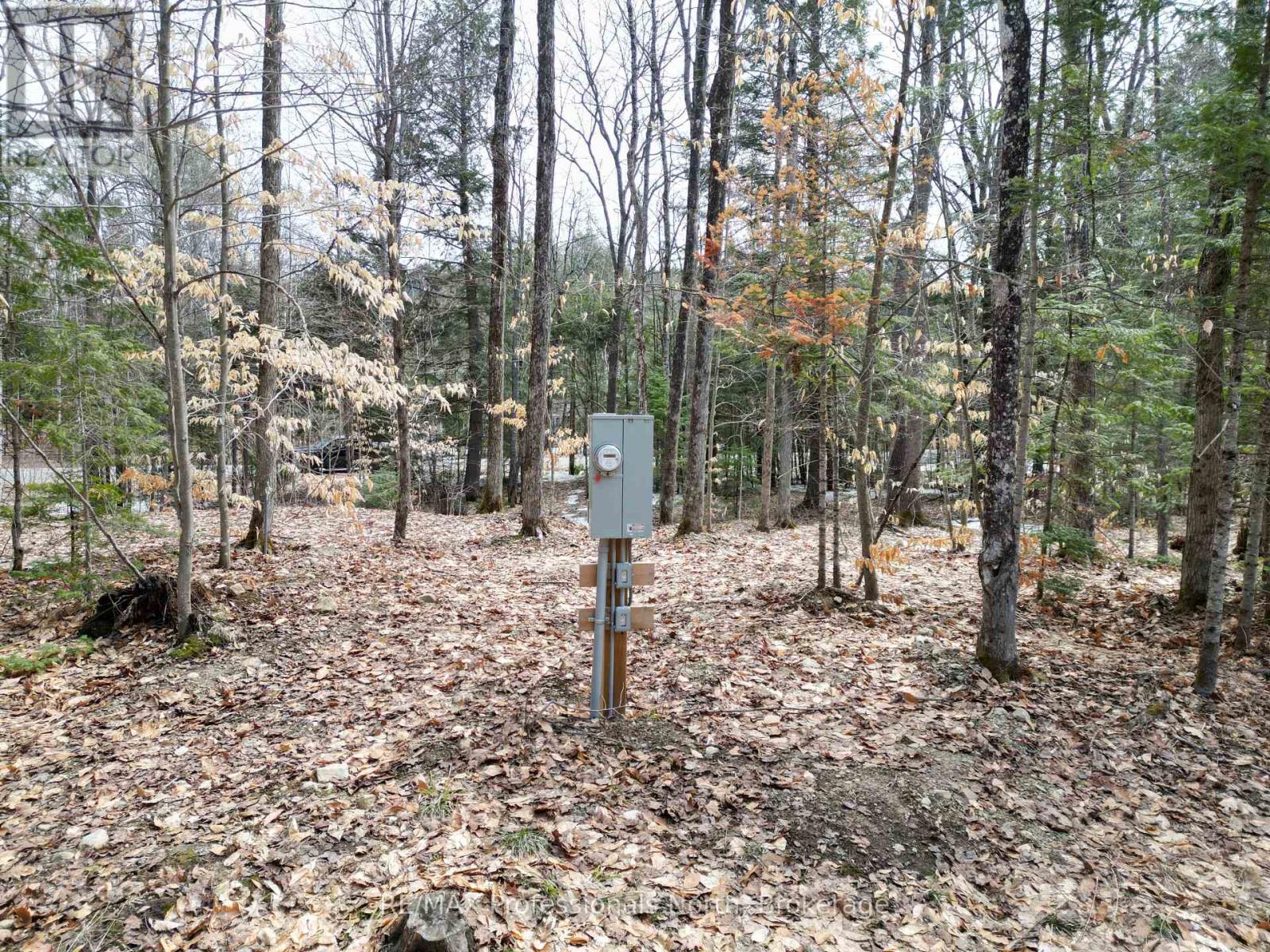 1231 Big Hawk Lake Road Property Photo 6