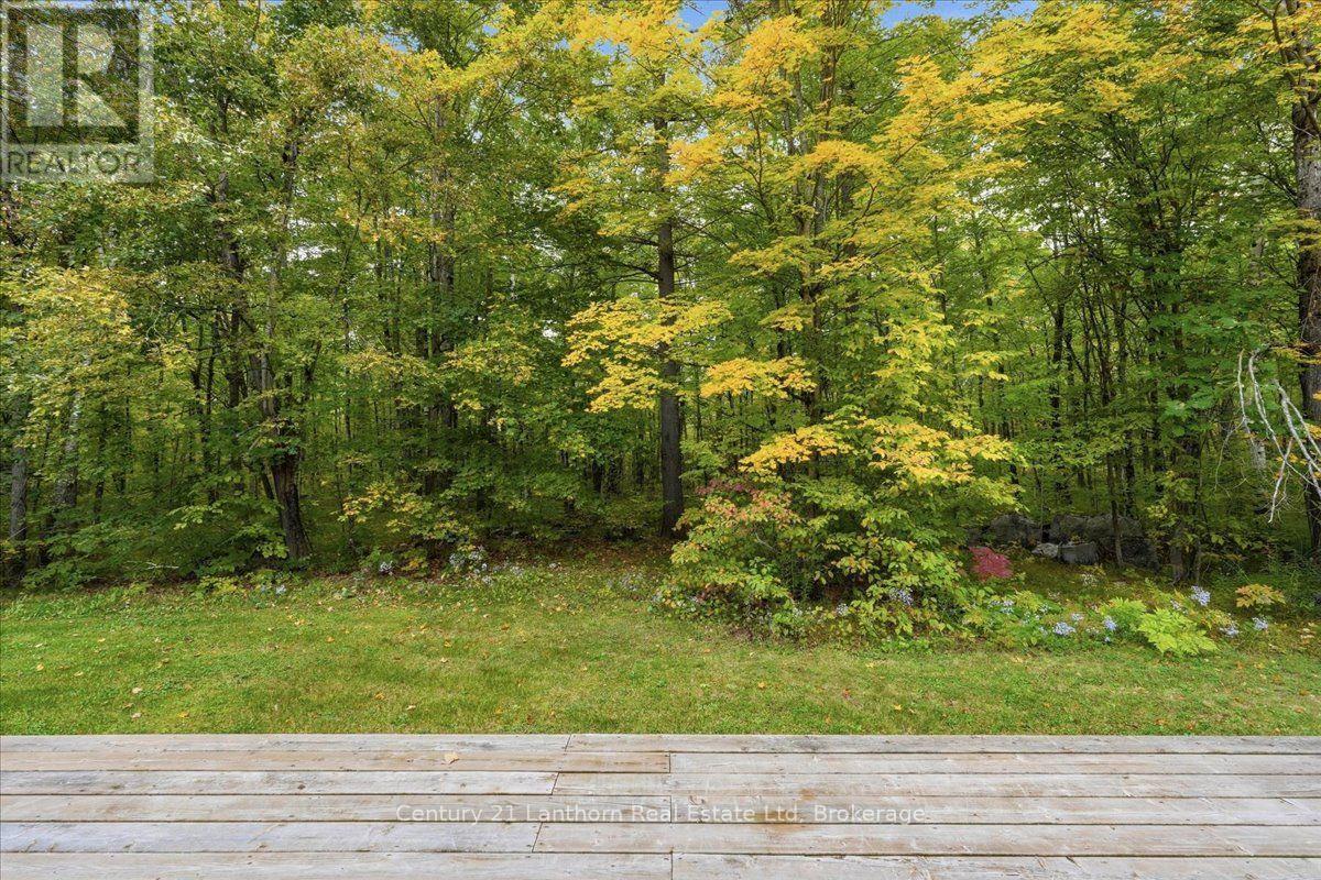 47 Reynolds Road Property Photo 38