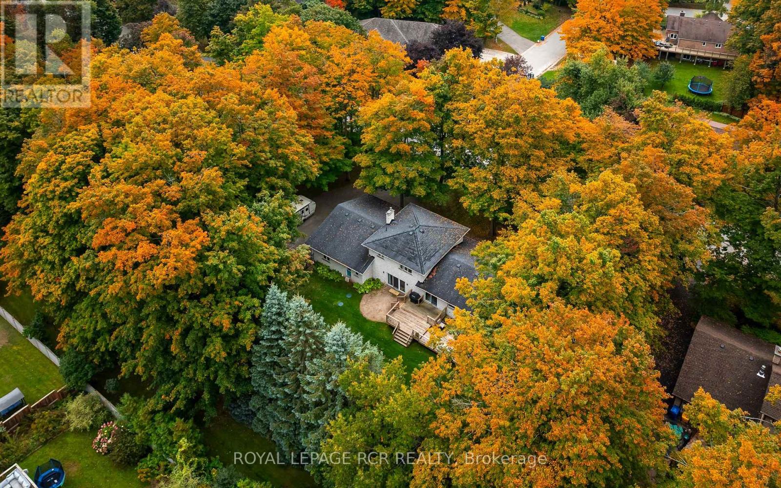 113 Birch Grove Property Photo 7