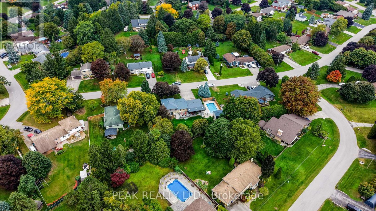 11 Millard Street Property Photo 46