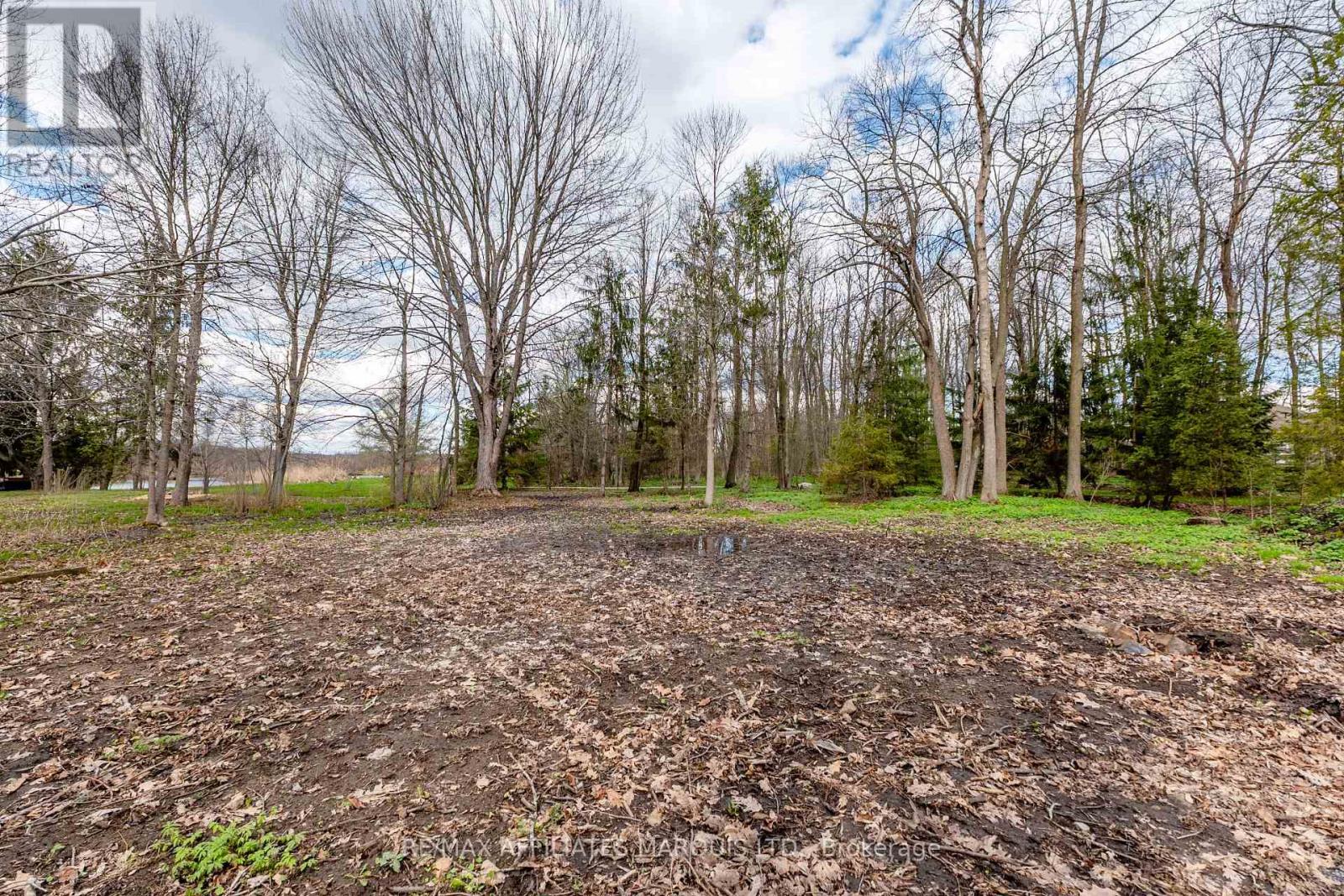 0000 Tree Haven Road Property Photo 13