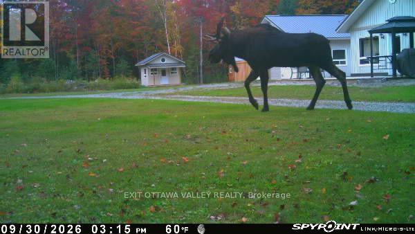 495 Gravel Pit Lane Property Photo 46