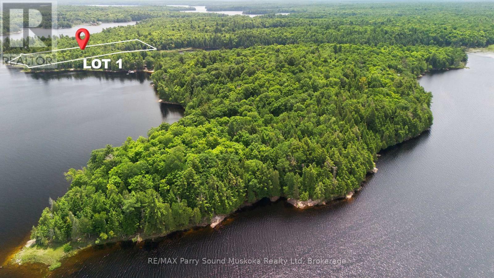 1 W/a Lake Wahwashkesh Property Photo 2