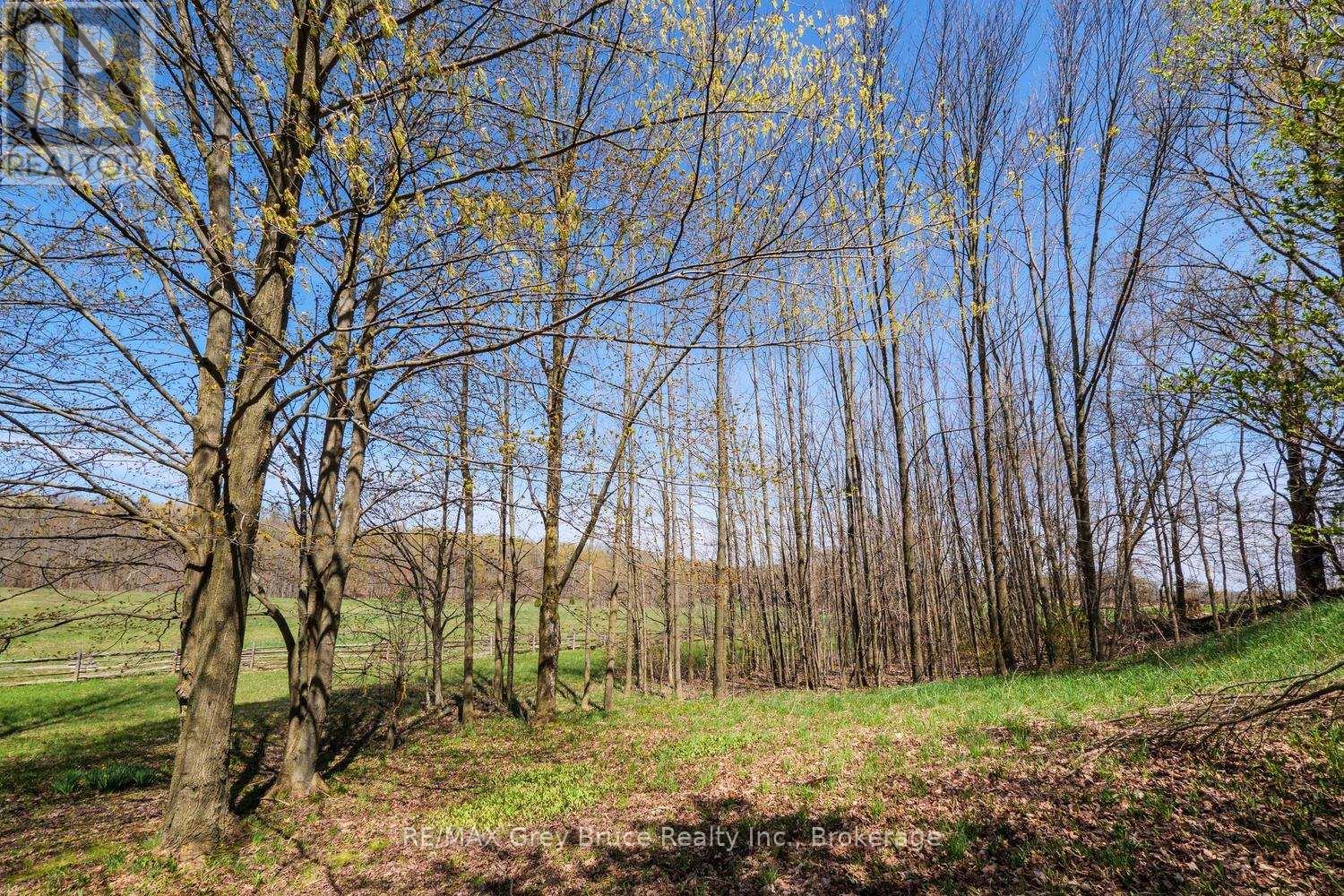 130 Crooked Hill Road Property Photo 38