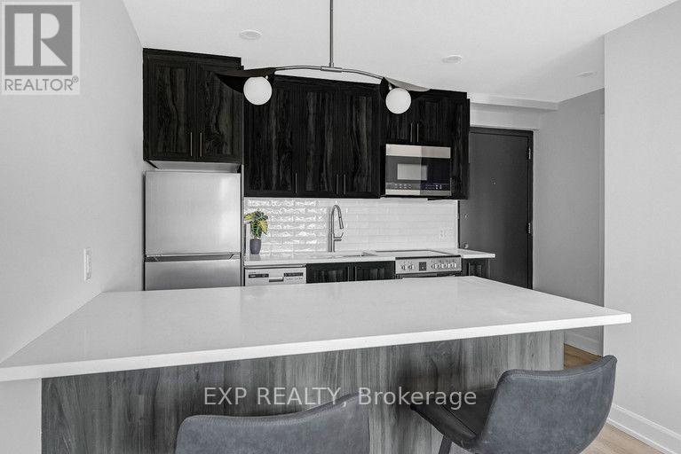 101 - 658 Somerset Street W Property Photo 8