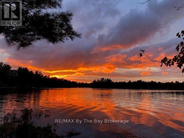 10158 Georgian Bay Shore Property Photo 27