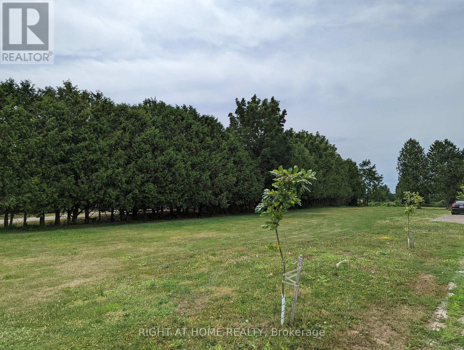 392 Second Street Property Photo 5