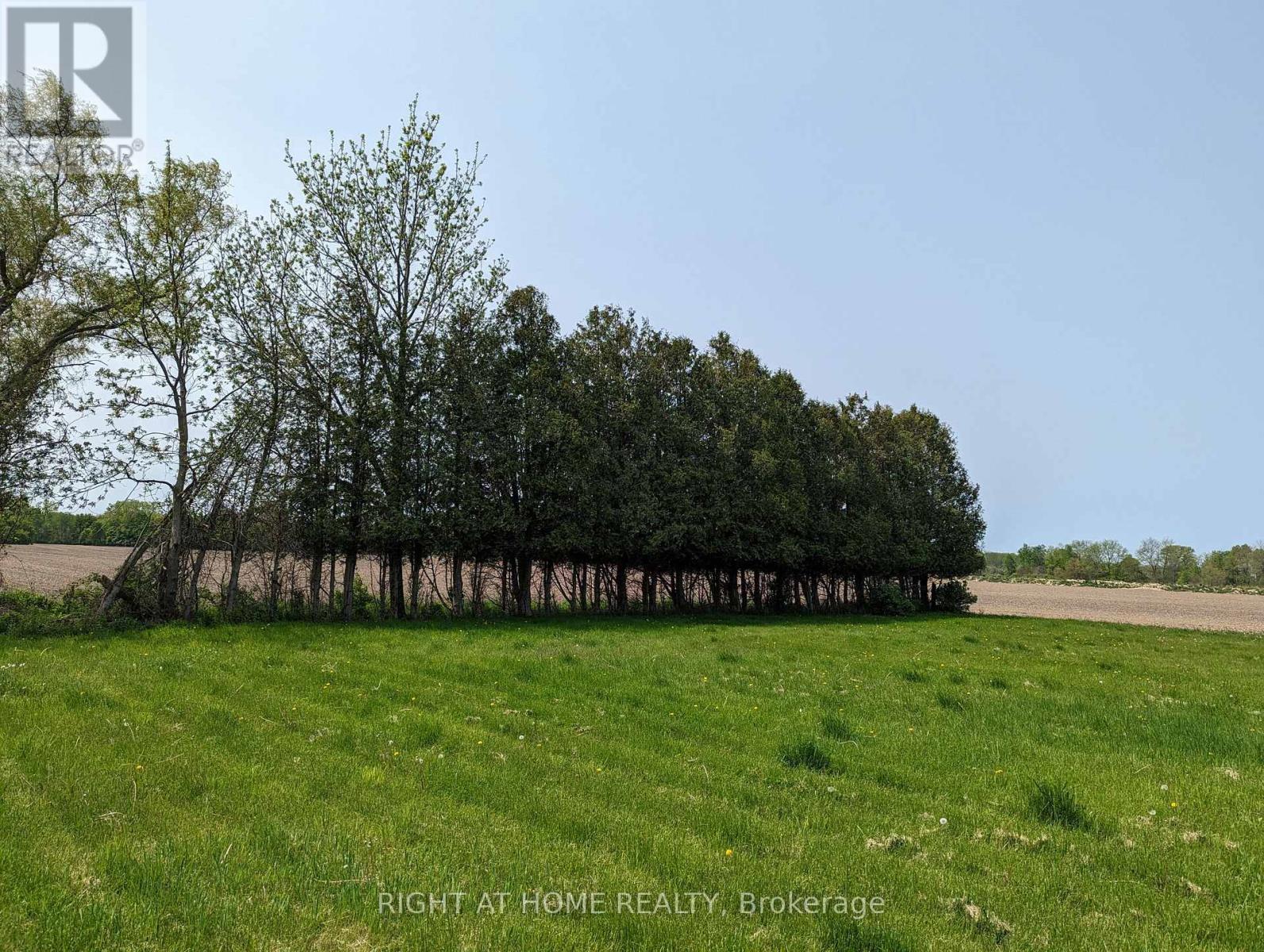 392 Second Street Property Photo 7