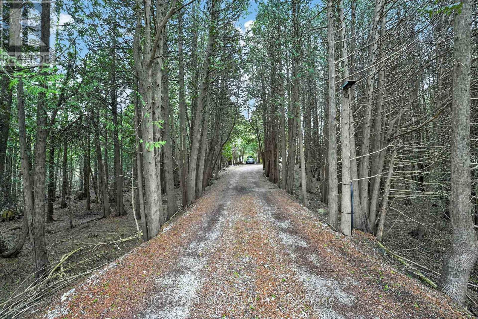 636671 Euphrasia-holland Townline Property Photo 3