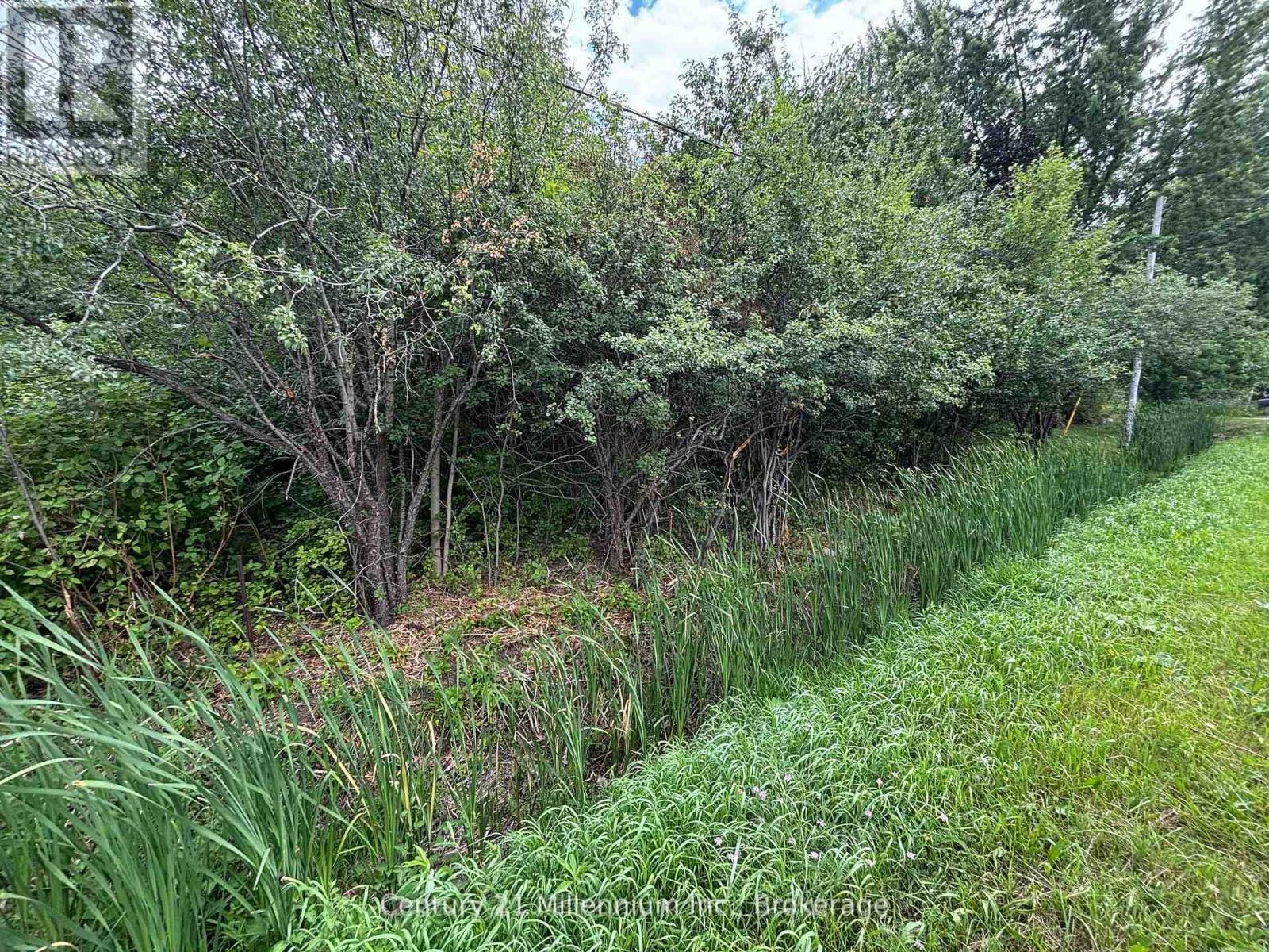 Pt Lt 10 3rd Line Property Photo 19