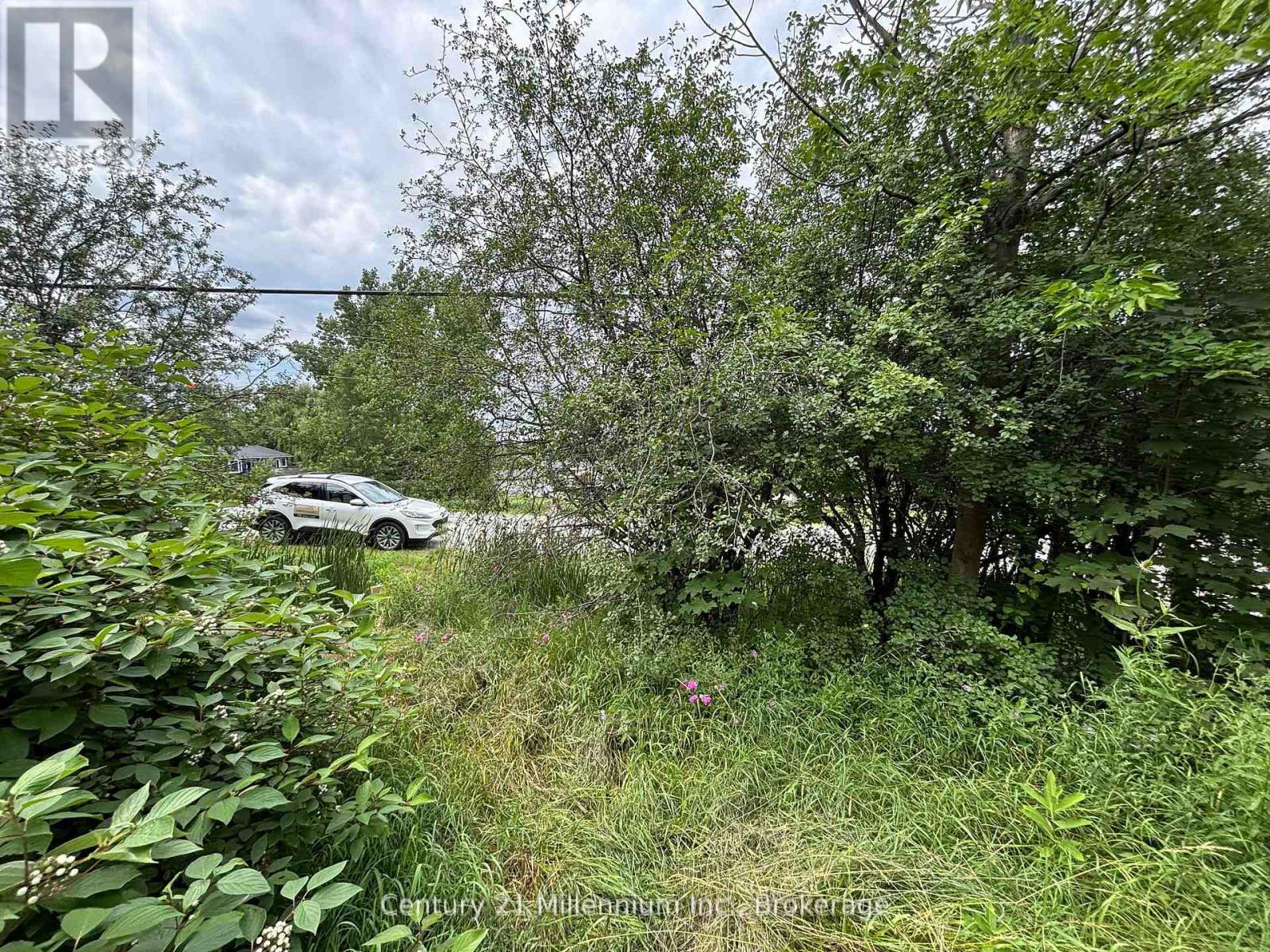 Pt Lt 10 3rd Line Property Photo 22