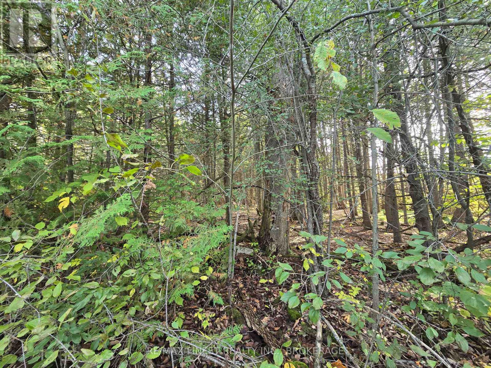 Pt Lt 23 & 24 Hunt Road Property Photo 11