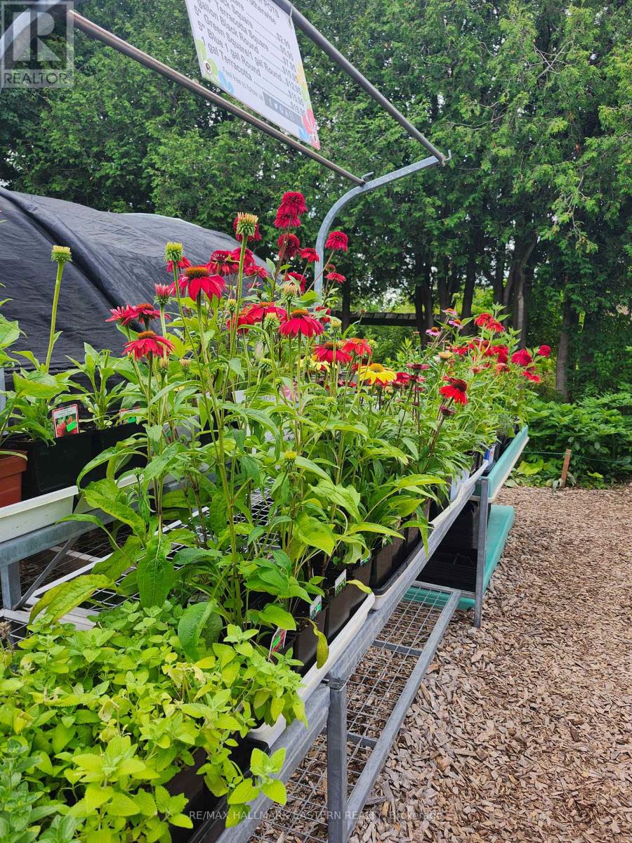 136 County 4 Road Property Photo 45