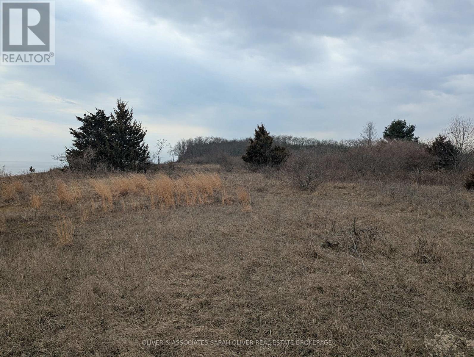 Between 25097 & 24745 Gray Line Property Photo 7