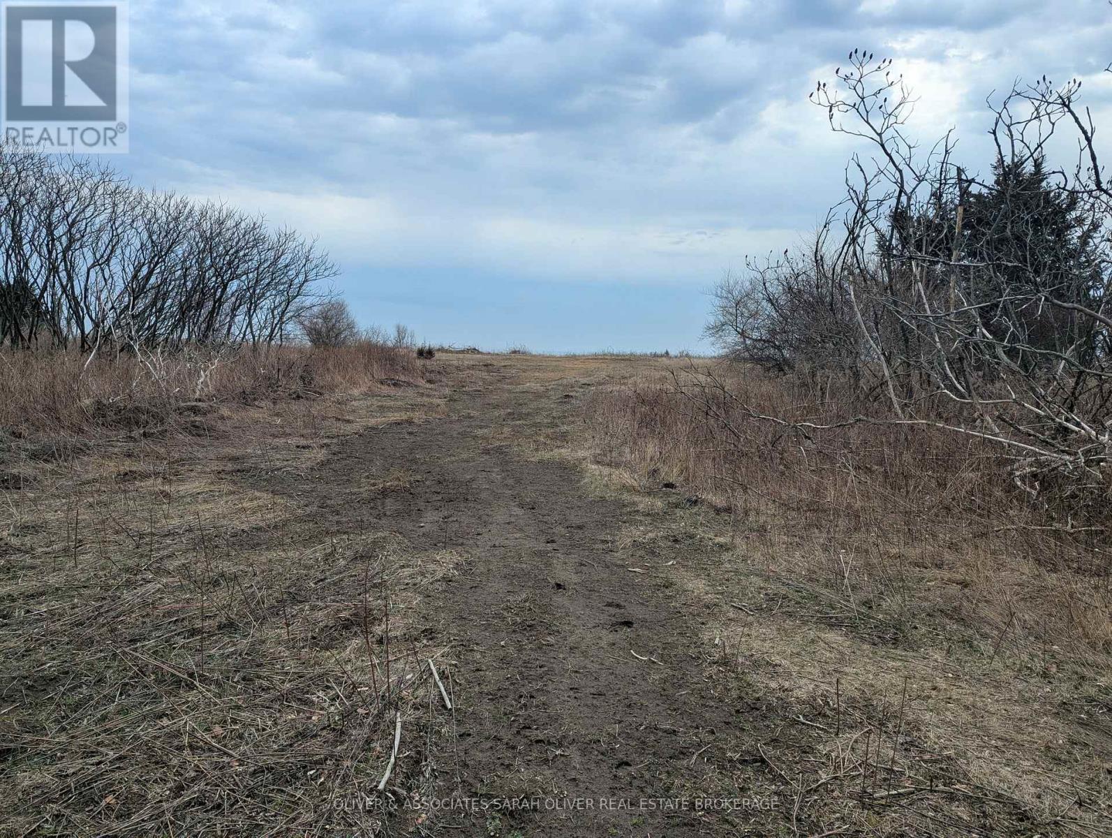 Between 25097 & 24745 Gray Line Property Photo 8