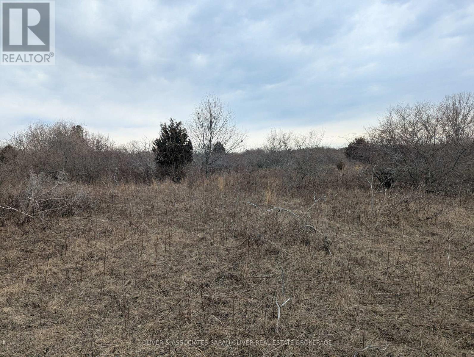 Between 25097 & 24745 Gray Line Property Photo 9