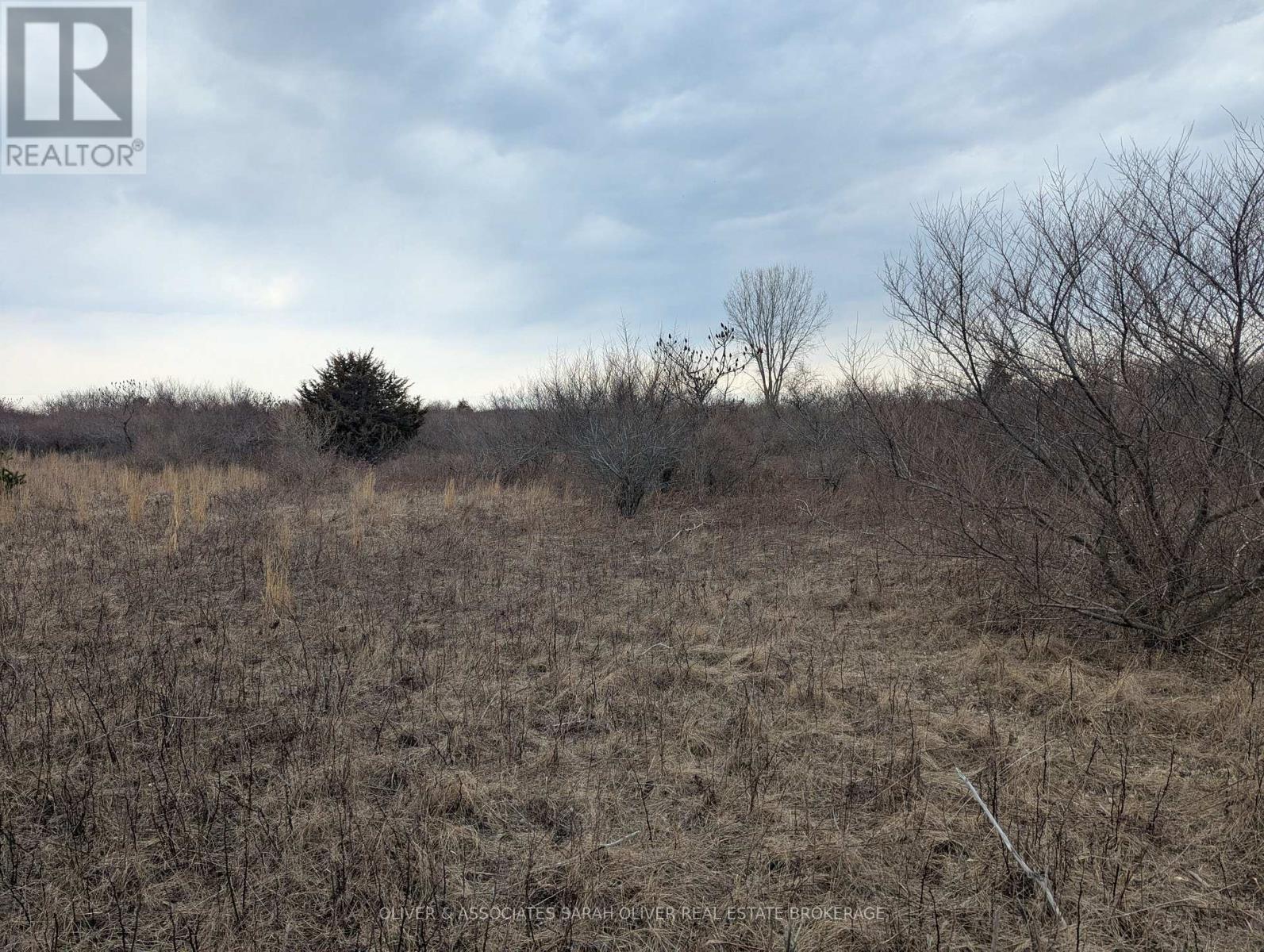 Between 25097 & 24745 Gray Line Property Photo 12