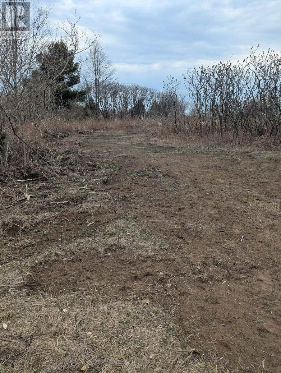 Between 25097 & 24745 Gray Line Property Photo 13