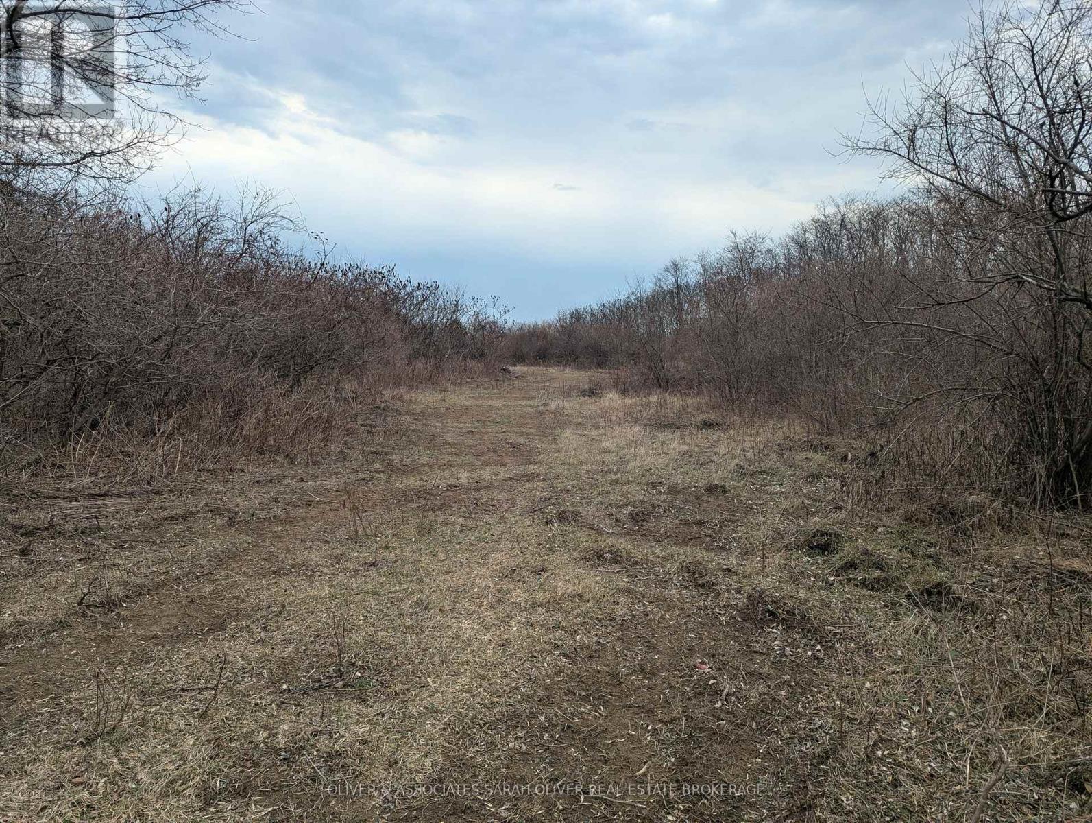 Between 25097 & 24745 Gray Line Property Photo 14