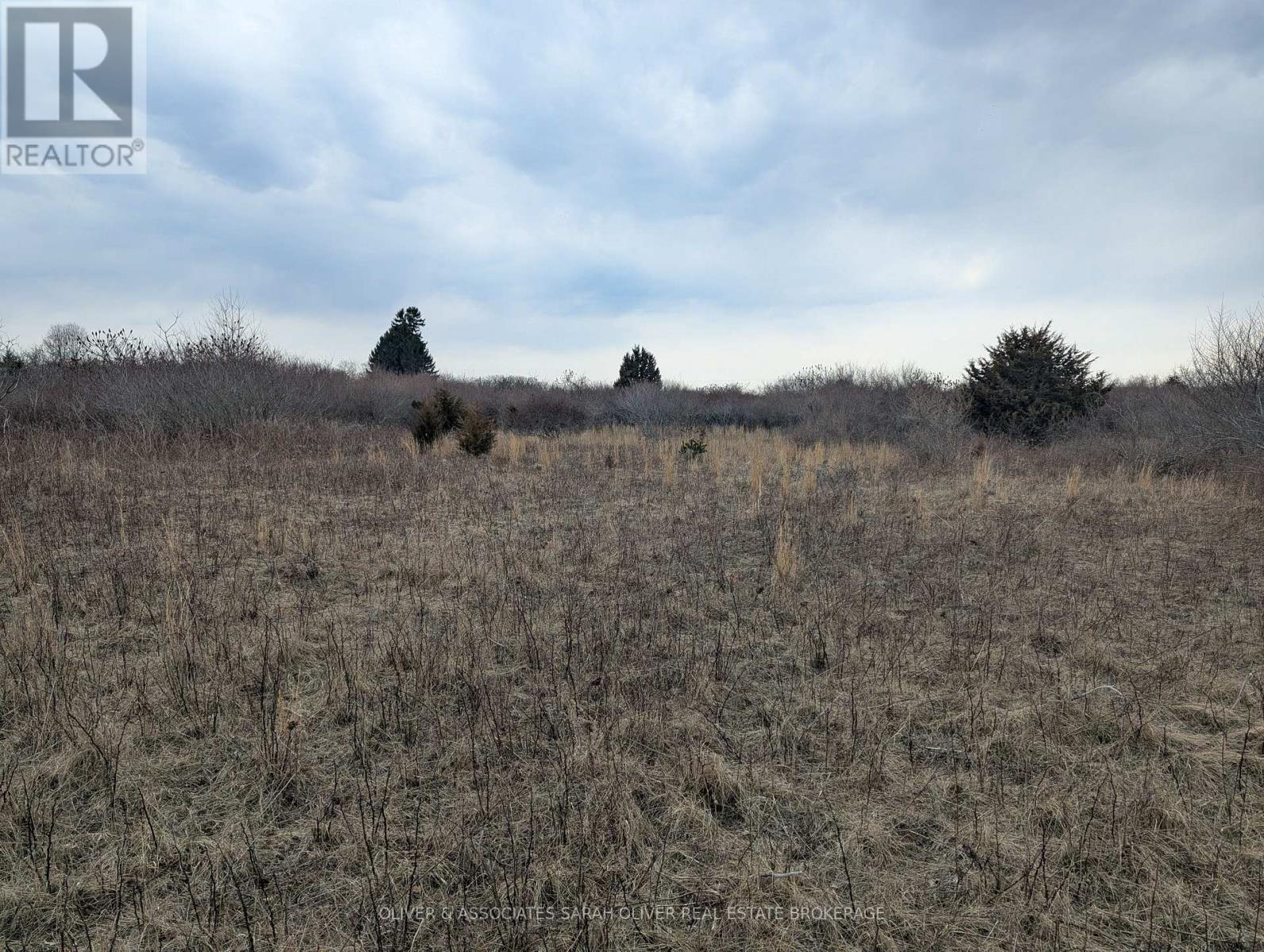 Between 25097 & 24745 Gray Line Property Photo 16