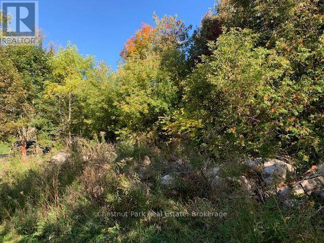 110 Church Street Property Photo 3